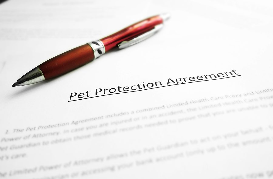 Document showing a pet trust agreement with a pen, symbolizing legal planning for a pet’s care when the owner can no longer provide it.