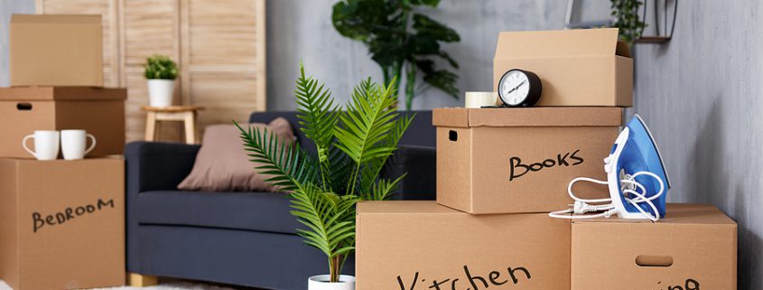 Stacked moving boxes in a living room after relocating to a new State, symbolizing transition and estate planning updates.